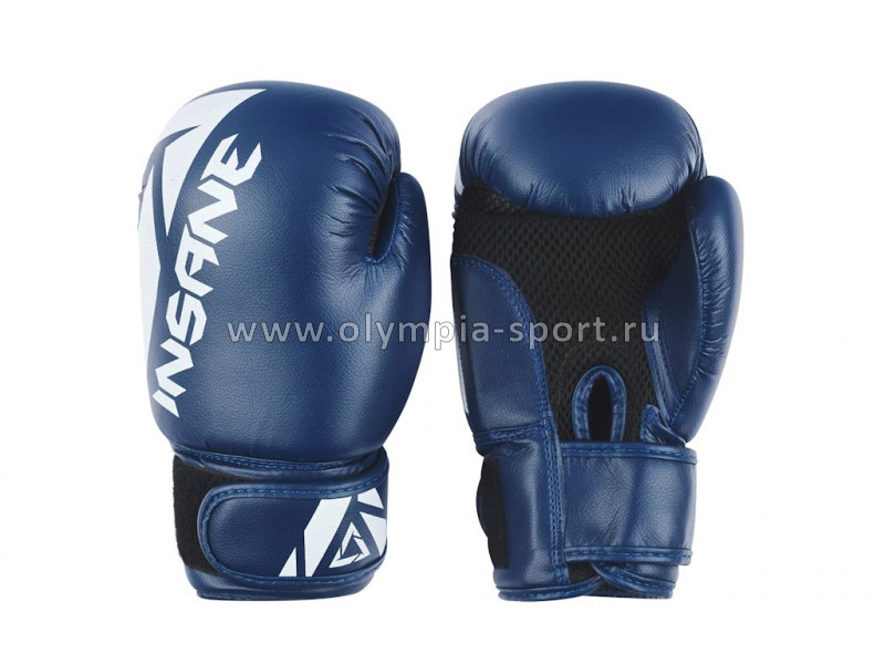 Перчатки боксерские INSANE MARS IN22-BG100, ПУ